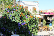 Rethymnon Kafenion